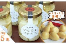 岩手山麓 にんにくピクルス 50g 5瓶 ／ にんにく ニンニク ピクルス 【岩手ガーリック】