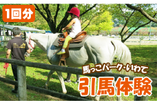 引馬体験 1回分 チケット 【馬っこパーク・いわて】／ ふれあい 引馬 引き馬 乗馬 体験 乗馬体験 馬 ホース ホースセラピー 動物 アニマル アニマルセラピー セラピー 癒し 体験チケット 観光 遊び あそび お出掛け お出かけ おでかけ アクティビティ 子供 子ども こども 大人 おとな おすすめ