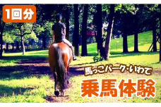乗馬体験 1回分 チケット 【馬っこパーク・いわて】／ ふれあい 乗馬 体験 馬 ホース ホースセラピー 動物 アニマル アニマルセラピー セラピー 癒し 体験チケット 観光 遊び あそび お出掛け お出かけ おでかけ アクティビティ 子供 子ども こども 大人 おとな おすすめ