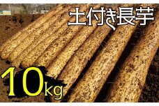 変色しない！ 土付き 長芋 10kg 【マル庄】 ／ 長いも 長イモ ながいも 山芋 やまいも ヤマイモ 芋 いも イモ 春野菜 秋野菜 生野菜 根菜 時短 時短食材 便利 手軽 国産 とろろ 山かけ おすすめ オススメ 人気 １０kg 10キロ １０キロ