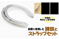 蹄鉄 （ 鉄製 シルバー ）& 馬のしっぽの毛 ストラップ （ 芦毛 ） 【馬っこパーク・いわて】／ てい鉄 さび止め 錆止め サビ止め 銀 銀色 鉄 加工 馬毛 尻尾 幸運 開運 厄除け 魔除け アイテム 本物 インテリア アクセサリー おすすめ