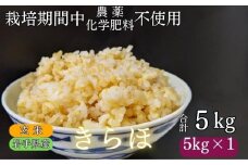 【 2025年 10月下旬より発送】 岩手県産 新米 きらほ 玄米 5kg ／ 農薬 化学肥料 ：栽培期間中 不使用 武田家のお米【米農家 仁左ェ門】 米 こめ コメ ご飯 ライス おにぎり 弁当 単一原料米 低アミロース米 希少 稀少 5キロ ５kg 産地直送 農家直送 国産 おすすめ 人気