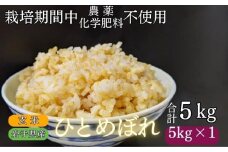 【 2025年 11月下旬より発送】 岩手県産 新米 ひとめぼれ 玄米 5kg ／ 農薬 化学肥料 ：栽培期間中 不使用 武田家のお米【米農家 仁左ェ門】 米 こめ コメ ご飯 ライス おにぎり 弁当 単一原料米 5キロ ５kg 産地直送 農家直送 国産 おすすめ 人気