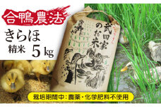 《令和６年産》武田家のお米 きらほ（精米）５kg＜合鴨農法＞【米農家 仁左ェ門】 / 米 白米 ５キロ アイガモ