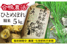 《令和６年産》武田家のお米 ひとめぼれ（精米）５kg＜合鴨農法＞【米農家 仁左ェ門】 / 米 白米 ５キロ アイガモ