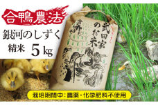 《令和６年産》武田家のお米 銀河のしずく（精米）５kg＜合鴨農法＞【米農家 仁左ェ門】 / 米 白米 ５キロ アイガモ