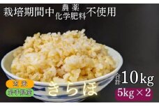 【 2025年 10月下旬より発送】 岩手県産 新米 きらほ 玄米 10kg ／ 農薬 化学肥料 ：栽培期間中 不使用 武田家のお米【米農家 仁左ェ門】 米 こめ コメ ご飯 ライス おにぎり 弁当 単一原料米 低アミロース米 希少 稀少 10キロ １０kg 産地直送 農家直送 国産 おすすめ 人気