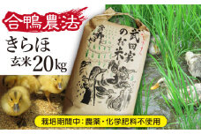 《令和６年産》武田家のお米 きらほ（玄米）20kg＜合鴨農法＞【米農家 仁左ェ門】 / 米 ５キロ ４袋 アイガモ