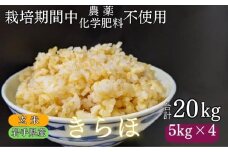 【 2025年 10月下旬より発送】 岩手県産 新米 きらほ 玄米 20kg ／ 農薬 化学肥料 ：栽培期間中 不使用 武田家のお米【米農家 仁左ェ門】 米 こめ コメ ご飯 ライス おにぎり 弁当 単一原料米 低アミロース米 希少 稀少 20キロ ２０kg 産地直送 農家直送 国産 おすすめ 人気
