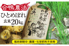 《令和６年産》武田家のお米 ひとめぼれ（玄米）20kg＜合鴨農法＞【米農家 仁左ェ門】 / 米 ５キロ ４袋 アイガモ