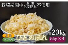 【 2025年 11月下旬より発送】 岩手県産 新米 ひとめぼれ 玄米 20kg ／ 農薬 化学肥料 ：栽培期間中 不使用 武田家のお米【米農家 仁左ェ門】 米 こめ コメ ご飯 ライス おにぎり 弁当 単一原料米 20キロ ２０kg 産地直送 農家直送 国産 おすすめ 人気