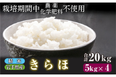 【 2025年 10月下旬より発送】 岩手県産 新米 きらほ 精米 20kg ／ 農薬 化学肥料 ：栽培期間中 不使用 武田家のお米【米農家 仁左ェ門】 米 こめ コメ 白米 ご飯 ライス おにぎり 弁当 単一原料米 低アミロース米 希少 稀少 20キロ ２０kg 産地直送 農家直送 国産 おすすめ 人気