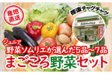 滝沢まごころ 野菜セット 5品 ～ 7品 【滝沢産業開発】／ 野菜 やさい セット 詰め合わせ  詰め合せ 詰合せ 詰合わせ