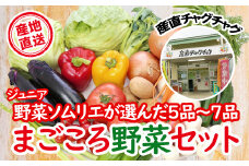 滝沢まごころ 野菜セット 5品 ～ 7品 【滝沢産業開発】／ 野菜 やさい セット 詰め合わせ  詰め合せ 詰合せ 詰合わせ 果物 加工品 新鮮 美味しい 産直 チャグチャグ 旬 季節の野菜 地場産品  ジュニア野菜ソムリエ