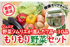 滝沢もりもり 野菜セット 7品 ～ 10品 【滝沢産業開発】／ 野菜 やさい セット 詰め合わせ 詰め合せ 詰合せ 詰合わせ