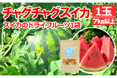 【2025年8月発送】 チャグチャグスイカ 2L 7kg 以上 & スイカ ドライフルーツ セット 【駿河農園ベジスル】／ 滝沢スイカ すいか スイカ 西瓜 1玉 １玉 ２L 大玉 夏 風物詩 定番 旬 フルーツ 果物 くだもの 乾燥 珍しい 人気 美味しい 甘い おすすめ オススメ 産地直送 国産 岩手県産