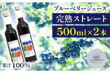ブルーベリージュース ＜500ml 2本セット＞ ストレート果汁100％ 【岩手林業】 / ブルーベリー フルーツジュース くだもの 果物