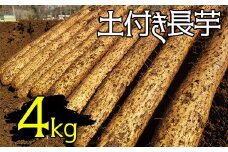 変色しない！ 土付き 長芋 4kg 【マル庄】 ／ 長いも 長イモ ながいも 山芋 やまいも ヤマイモ 芋 いも イモ 春野菜 秋野菜 生野菜 根菜 時短 時短食材 便利 手軽 国産 とろろ 山かけ おすすめ オススメ 人気 ４kg 4キロ ４キロ