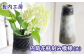 青い刻み模様が入った大きな花瓶です。