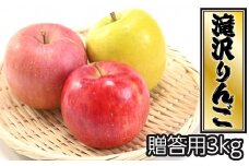 ＜令和６年産＞滝沢市産 りんご詰め合わせ 贈答用3kg【3種以上／食べ比べ】/ リンゴ 林檎 フルーツ 果物