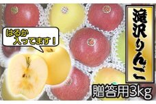 ＜令和６年産＞滝沢市産 りんご（はるか含む）詰め合わせ 贈答用3kg【3種以上／食べ比べ】/ リンゴ 林檎 フルーツ 果物