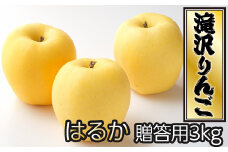 ＜令和６年産＞滝沢市産 はるか 贈答用3kg / 林檎 りんご リンゴ 果物