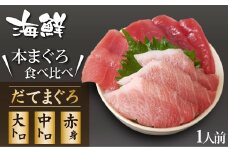 海鮮丼の具！ まぐろづくし 1人前 ／ 刺身 冷凍 食べ比べ 【十六家】