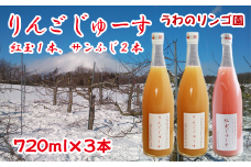 りんごじゅーす 720ml サンふじ 2本 紅玉 1本 セット 【うわのリンゴ園】 ／ 完熟 りんご リンゴ 林檎 アップル ジュース リンゴジュース りんごジュース 林檎ジュース アップルジュース 果汁100％ 100％ ストレートジュース 荒絞り あらしぼり ジュース ドリンク ソフトドリンク おすすめ