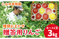 ＜令和６年産＞贈答用 滝沢りんご 種類おまかせセット ３kg（約８～11個）【小山田果樹園】 / リンゴ 林檎 食べ比べ