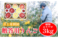 滝沢りんご 種類おまかせ  贈答用 ３kg（約８玉）【井上果樹園】 / ギフト 食べ比べ リンゴ 贈答品