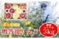 井上果樹園の立派な贈答用りんごをお送りします。