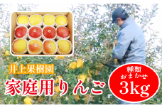 滝沢りんご 種類おまかせ  家庭用 ３kg（約９玉～１２玉）【井上果樹園】 / 食べ比べ リンゴ