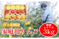 井上果樹園の美味しいりんごをお送りします。
