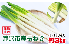 長ねぎ 約 3kg （ L ～ 2L 20本 ～ 30本 程度 ）【滝沢産業開発株式会社】／ ３ｋｇ ３kg 3キロ ３キロ 野菜 やさい 長ネギ 長葱 ねぎ ネギ 葱 数量限定 期間限定 季節限定 旬 旬野菜 新鮮 産地直送 産直 年間出荷量 1位 １位 人気 おすすめ
