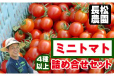 長松農園 ミニトマト 4種類 以上 約 2kg 【滝沢産業開発株式会社】／ ２ｋｇ 2キロ ２キロ 野菜 夏野菜 詰めあわせ 詰め合わせ 詰合せ 詰め合せ 詰合わせ 食べくらべ 食べ比べ セット おすすめ 数量限定 期間限定 季節限定 旬 旬野菜 オススメ 人気
