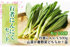 行者にんにく セット （行者にんにく500g＋山菜・春野菜どちらか１品） 【滝沢産業開発株式会社】 ／ にんにく 大蒜 ニンニク 野菜 山菜 春野菜 詰め合わせ 詰合せ 詰合わせ 詰め合せ