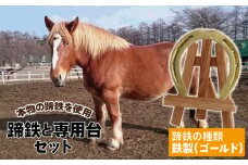 蹄鉄 （ 鉄製 ゴールド ）& 専用台 セット 【馬っこパーク・いわて】／ 馬蹄 てい鉄 さび止め 錆止め サビ止め 鉄 金 金色 加工 幸運 開運 厄除け 魔除け アイテム 本物 インテリア アクセサリー おすすめ