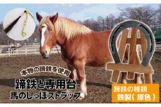 蹄鉄 （ 鉄製 原色 ）& 専用台 & 馬のしっぽの毛 ストラップ 【馬っこパーク・いわて】／ 馬蹄 てい鉄 さび止め 錆止め サビ止め 鉄 ナチュラル 加工 馬毛 尻尾 栗毛 鹿毛 芦毛 誕生石 幸運 開運 厄除け 魔除け アイテム 本物 インテリア アクセサリー おすすめ