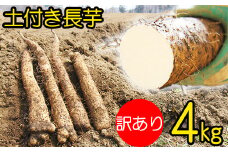 変色しない！ 訳あり 土付き 長芋 4kg 【マル庄】 ／ 長いも 長イモ ながいも 山芋 やまいも ヤマイモ 芋 いも イモ 春野菜 秋野菜 生野菜 根菜 訳あり 訳アリ わけあり ワケアリ 時短 時短食材 便利 手軽 国産 とろろ 山かけ おすすめ オススメ 人気 ４kg 4キロ ４キロ