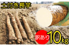 変色しない！ 訳あり 土付き 長芋 10kg 【マル庄】 ／ 長いも 長イモ ながいも 山芋 やまいも ヤマイモ 芋 いも イモ 春野菜 秋野菜 生野菜 根菜 訳あり 訳アリ わけあり ワケアリ 時短 時短食材 便利 手軽 国産 とろろ 山かけ おすすめ オススメ 人気 １０kg 10キロ １０キロ