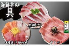 海鮮丼の具！ 3種盛り合わせ 1人前 & 中トロ 2人前 & 黒瀬ぶり 1人前 ／ 刺身 まぐろ だてまぐろ マグロ 【十六家】