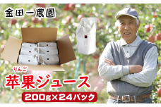 夏にオススメ 冷凍保存OK 苹果ジュース 200g 24個 パウチ 【ドメーヌイヅミ】／ りんご リンゴ 林檎 りんごジュース リンゴジュース 林檎ジュース ジュース 果物 くだもの フルーツ ふじ フジ パウチ 果汁100％ 100％ ストレートジュース パウチタイプ 便利 冷凍OK おすすめ