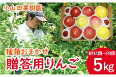 ＜令和６年産＞滝沢りんご 贈答用 種類おまかせ５kg （約14～20個）【小山田果樹園】/ りんご リンゴ フルーツ 詰合せ