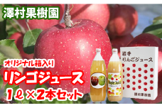 リンゴジュース２本セット【澤村果樹園】 / りんごジュース 100% 1000ml 種類おまかせ