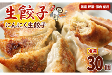 冷凍餃子 にんにく生餃子 30個入【生餃子専門店】/ 餃子 ギョーザ 惣菜 おかず