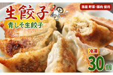 冷凍餃子 青しそ生餃子 30個入【生餃子専門店】/ 餃子 ギョーザ 惣菜 おかず