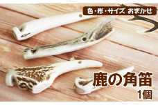 鹿の角 角笛 1個 【竜鹿】／ 鹿角 鹿 しか シカ グッズ 本物 加工 加工品 工芸 工芸品 クラフト 笛 ふえ ギフト プレゼント 贈り物 おしゃれ オシャレ 雑貨 不揃い ふぞろい １個 人気 おすすめ