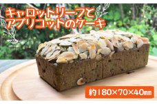 ＜ヴィーガンケーキ＞キャロットリーフとアプリコットのケーキ【岩手山麓農園 Mountain Smile】