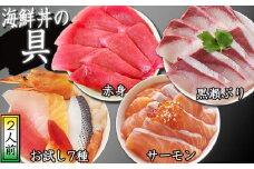 海鮮丼の具！ お試し7種 2人前 & サーモン 1人前 & 黒瀬ぶり 1人前 & 赤身 1人前 ／ 刺身 まぐろ だてまぐろ マグロ 【十六家】