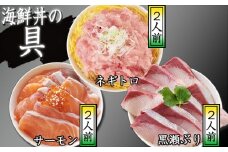 海鮮丼の具！ ネギトロ 2人前 & サーモン 2人前 & 黒瀬ぶり 2人前 ／ 刺身 ぶり 冷凍 食べ比べ 【十六家】
